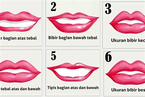 memek video|9 Bentuk Vagina Dilihat dari Posisi Labia (Bibir Vagina)